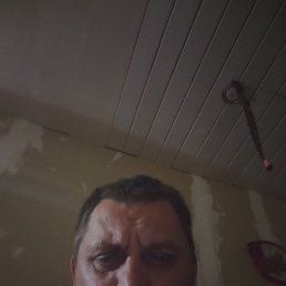  , 41, 