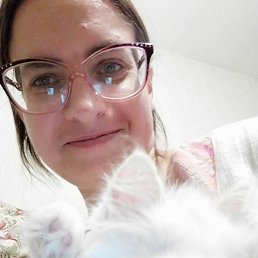 , 37, 
