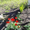 ���� �����, ������� - ��������� 25 ������ 2024 � ������ ���� ����������