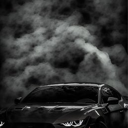 ���� Nik, ������ - ��������� 22 ����� 2026