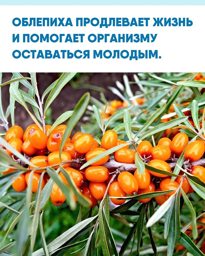 e c ae aa oe aco cpc o.  p oa  oa cec ...