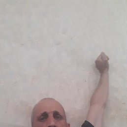 ����, ����, 46 ���