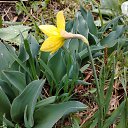 ���� ���, �������, 33 ���� - ��������� 14 ������ 2026 � ������ ������ ��������