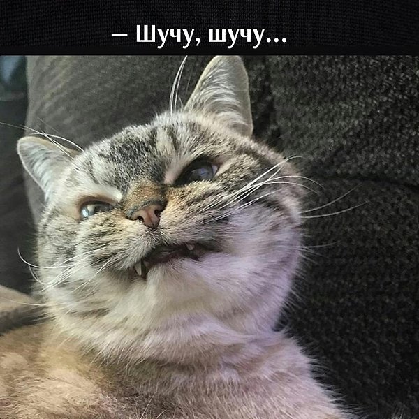 ��� ���� � ����� �� �� - 3 ��� 2025 � 16:38 - 4