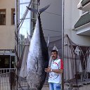  Vitaly, , 56  -  15  2025    