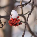 ���� ��������, ������, 38 ��� - ��������� 7 ������� 2026 � ������ ���� ����������