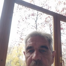 , 45, 