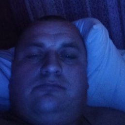 �������, �����, 41 ���