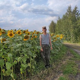 ����, ������, 50 ���