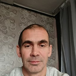 , 43, 