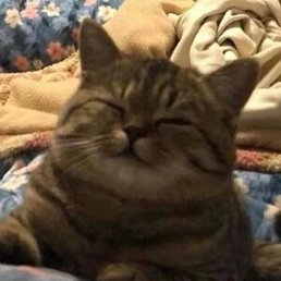 ���������, ������, 19 ���