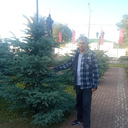 ������ �������������, ������, 68 ���