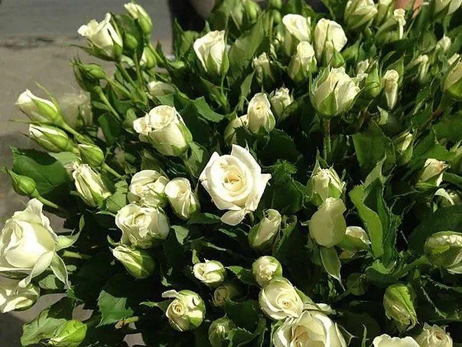 ������ ������� - 11 �������� 2025 � 09:13