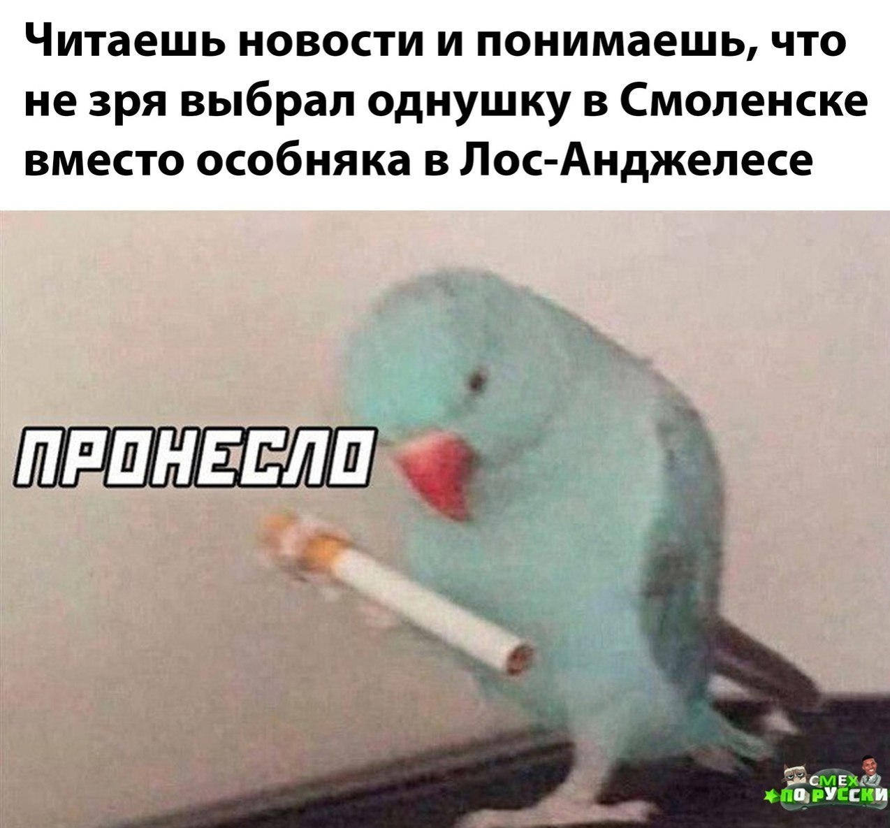  - 29  2025  07:55