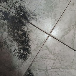 Xxx, �����������, 19 ���