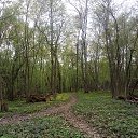 ���� O!, ������, 67 ��� - ��������� 13 ������ 2026 � ������ ����������
