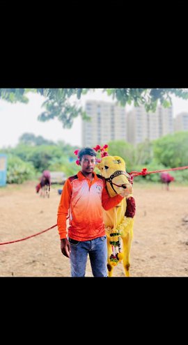 Toufik Rojewale, 20 ���, ����