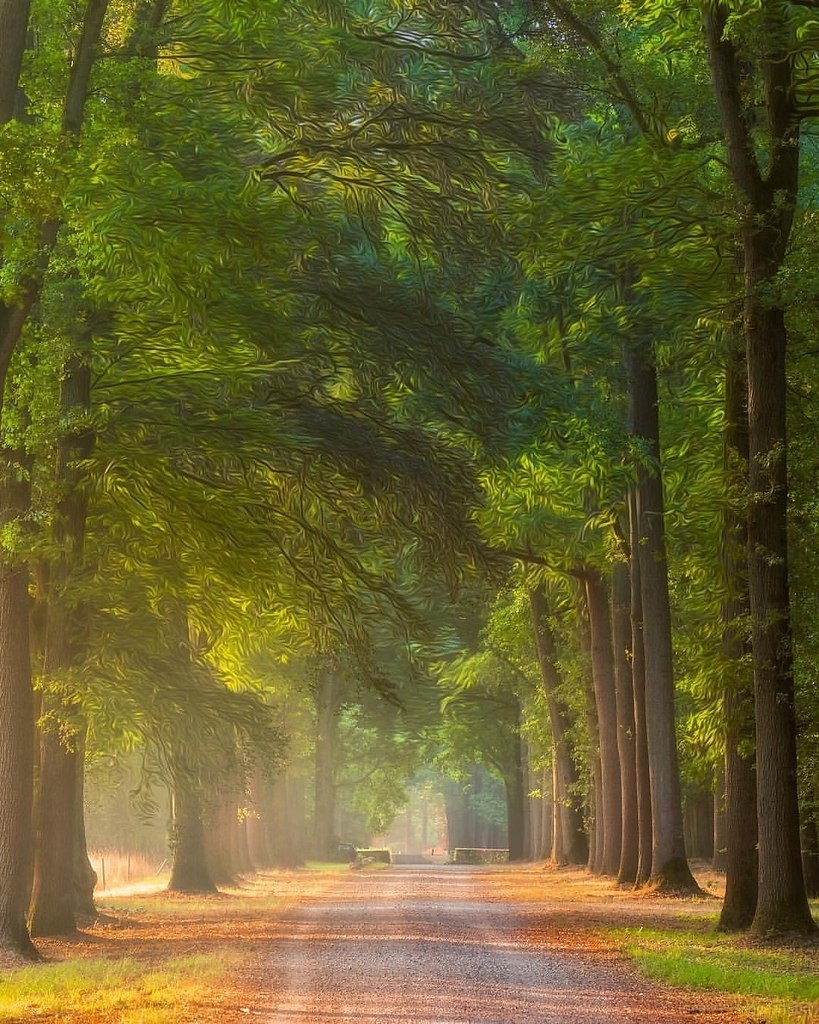 ������ �� ������ ���. ���� �� ���-�� ���������, ������ � ��� ���������� ������ ����� �����, �� ��� ... - 3