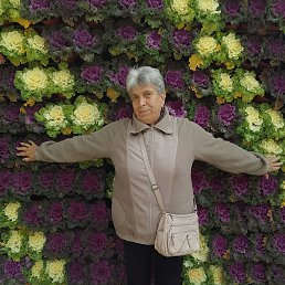 , 67, 