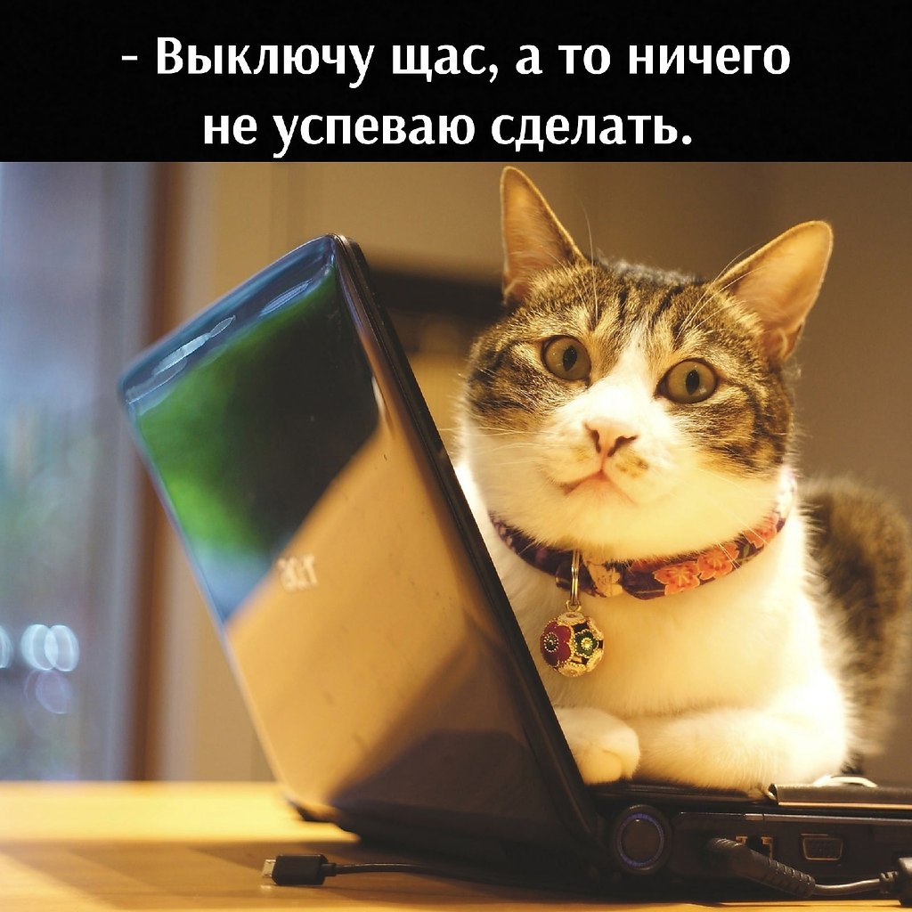       - 10  2025  23:28 - 3
