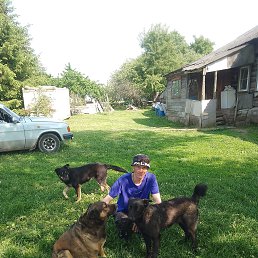 ���� �����, �������, 44 ���� - ��������� 4 ������ 2026