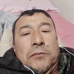 ��������, �������, 49 ���