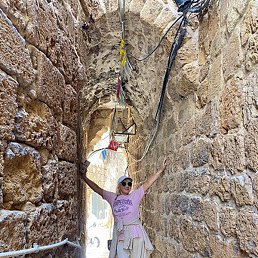 �������, �����-���������, 95 ���