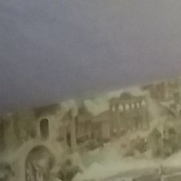 �������, ���������, 37 ���