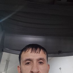 ������, 38 ���, ���������