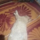 ���� ����, �����, 48 ��� - ��������� 5 ������ 2024 � ������ ���� ����������