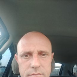 ���� ������ �������, �����������������, 42 ���� - ��������� 28 ����� 2025