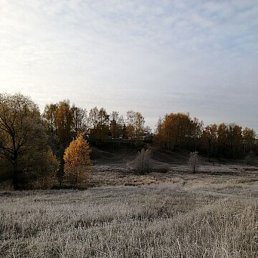 �������, ���, 44 ����