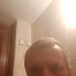���� ����, ������, 41 ��� - ��������� 8 ���� 2026