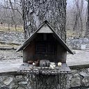 ���� �., ���������, 44 ���� - ��������� 20 ������ 2026 � ������ ���� ����������