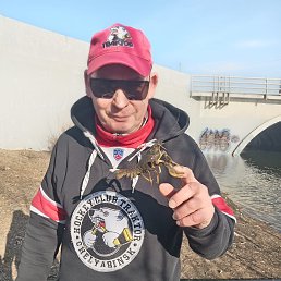, 54, 