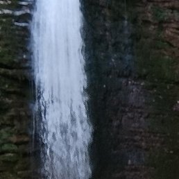 ����������, ���������, 47 ���