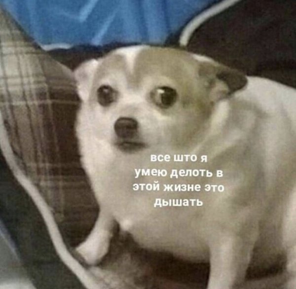 5 ����������� ����������, ������� ������� �������� ������� ����. ����������� ��, ����� ������������ ...