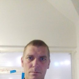 �������, ������, 41 ���