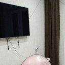 ���� ������, ������, 43 ���� - ��������� 5 ������ 2024 � ������ ���� ����������