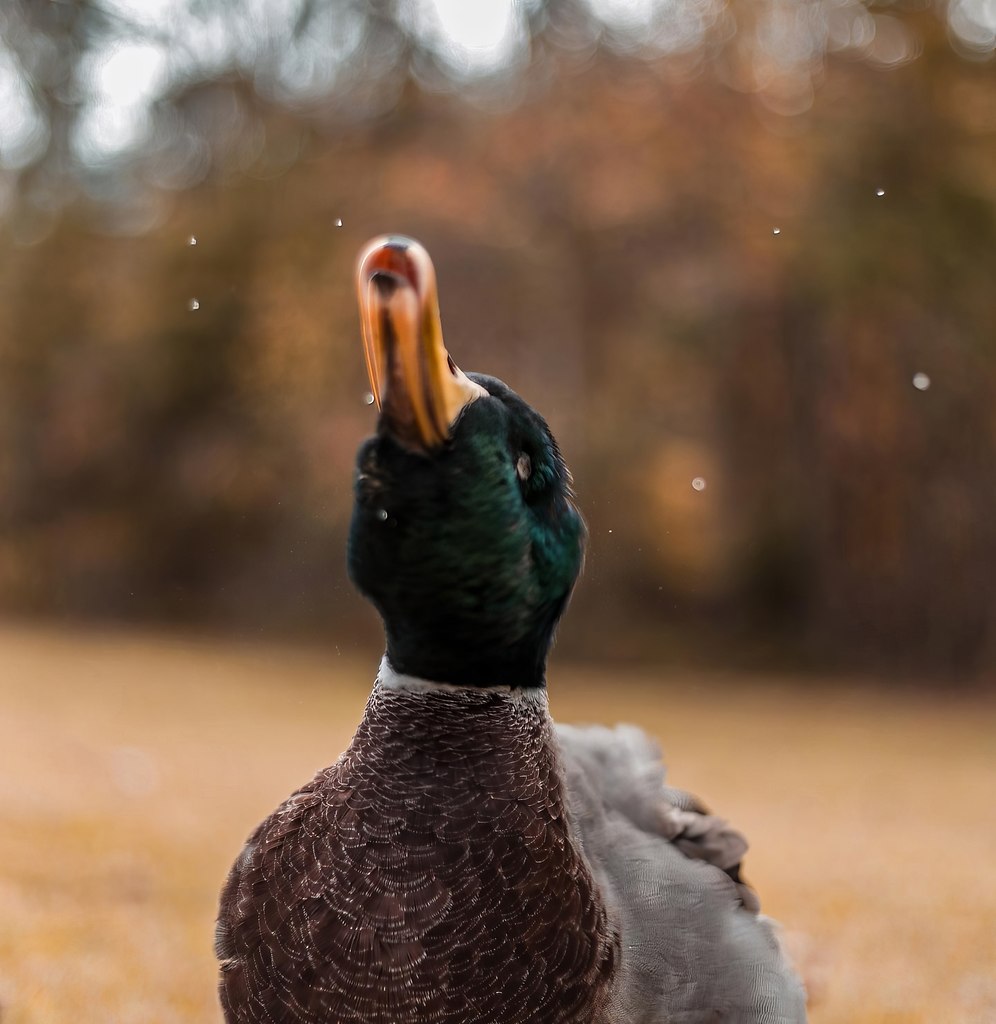     - 6