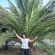 �������, 60 ���, ����