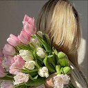 ���� ����, �����-��������� - ��������� 5 ������� 2026 � ������ ���� ����������