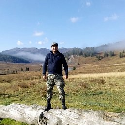 ���� �����, ������, 36 ��� - ��������� 10 ������ 2024