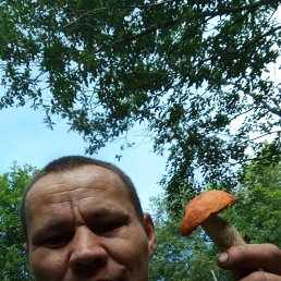 ����, ������, 40 ���