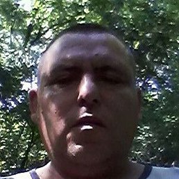 �������, ����, 49 ���