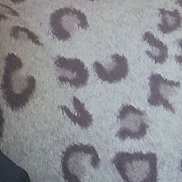 �������, 48 ���, ������