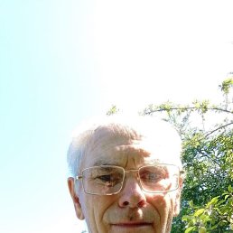 , 61, 