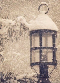 ����� � ������ - 20 ������� 2025 � 18:23 - 5