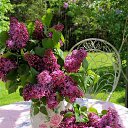 ���� ����������, ������ - ��������� 20 ������� 2025 � ������ ������ ��������