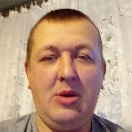 ������, �����, 41 ���